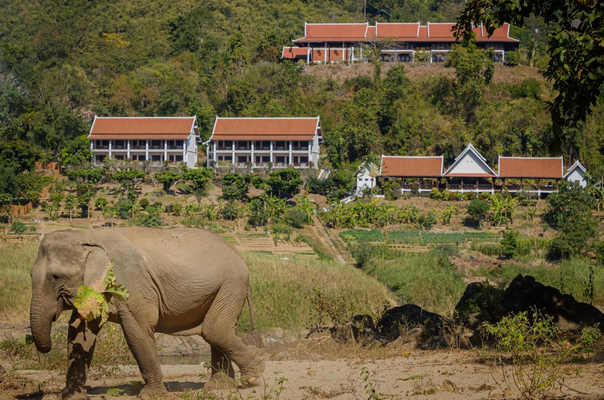 The Sanctuary Pakbeng Lodge Экстерьер фото